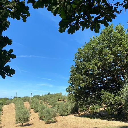 La Casina Della Quercia, Your Tuscan Oak Tree House Osteria Delle Noci エクステリア 写真