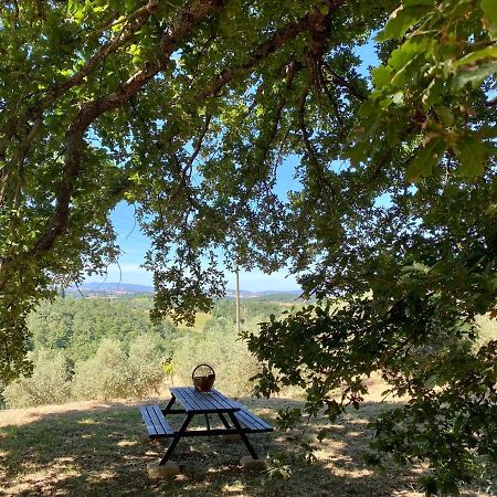 La Casina Della Quercia, Your Tuscan Oak Tree House Osteria Delle Noci エクステリア 写真