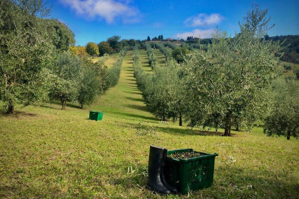 La Casina Della Quercia, Your Tuscan Oak Tree House Osteria Delle Noci エクステリア 写真