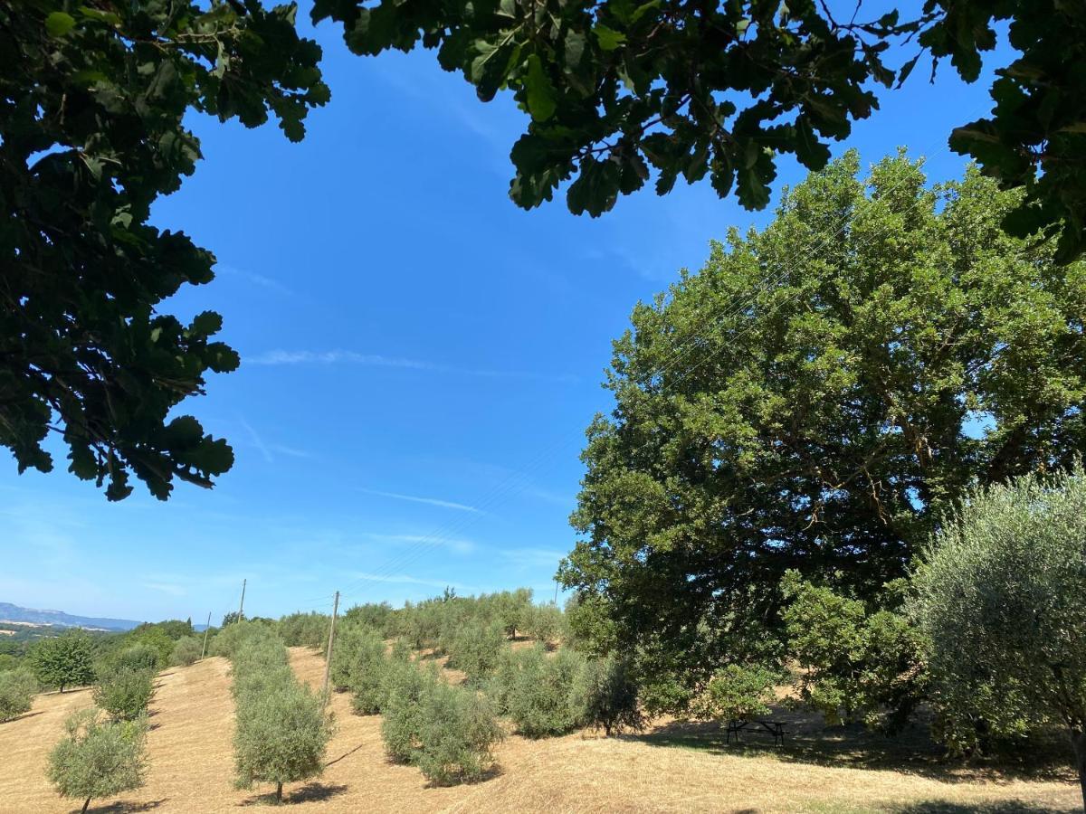 La Casina Della Quercia, Your Tuscan Oak Tree House Osteria Delle Noci エクステリア 写真