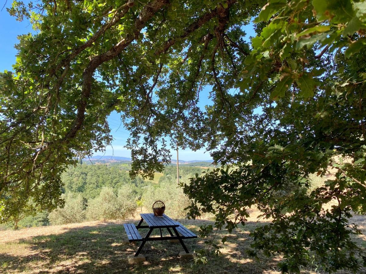 La Casina Della Quercia, Your Tuscan Oak Tree House Osteria Delle Noci エクステリア 写真